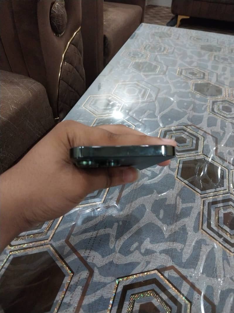 Apple iPhone 13 Pro Max 1