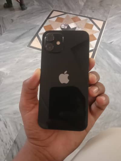 Apple iPhone 12