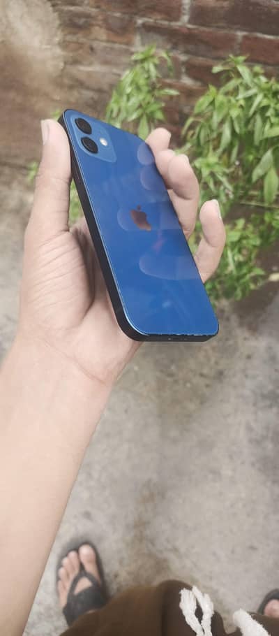 iPhone 12 (64GB) Factory Unlocked - Neat Condition | Exchange Possible