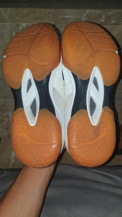 Badminton Non Marking Shoes
