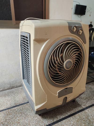 Air cooler