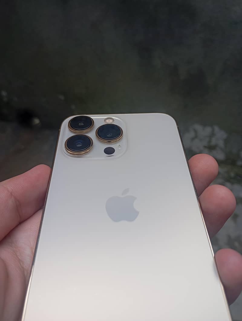 Apple iPhone 13 Pro 1
