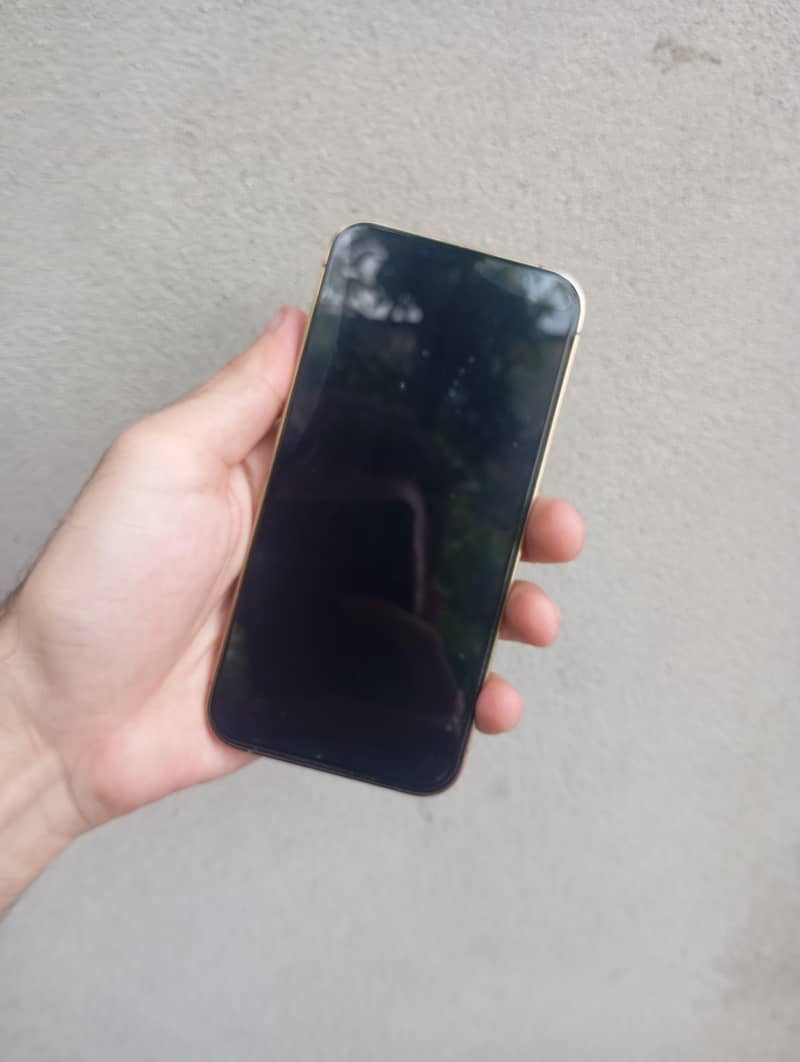 Apple iPhone 13 Pro 2