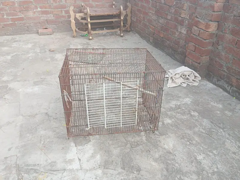 cage for sale good condition more details on WhatsApp