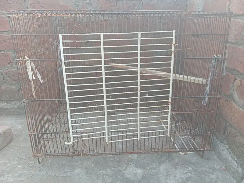 cage for sale good condition more details on WhatsApp — photo 2