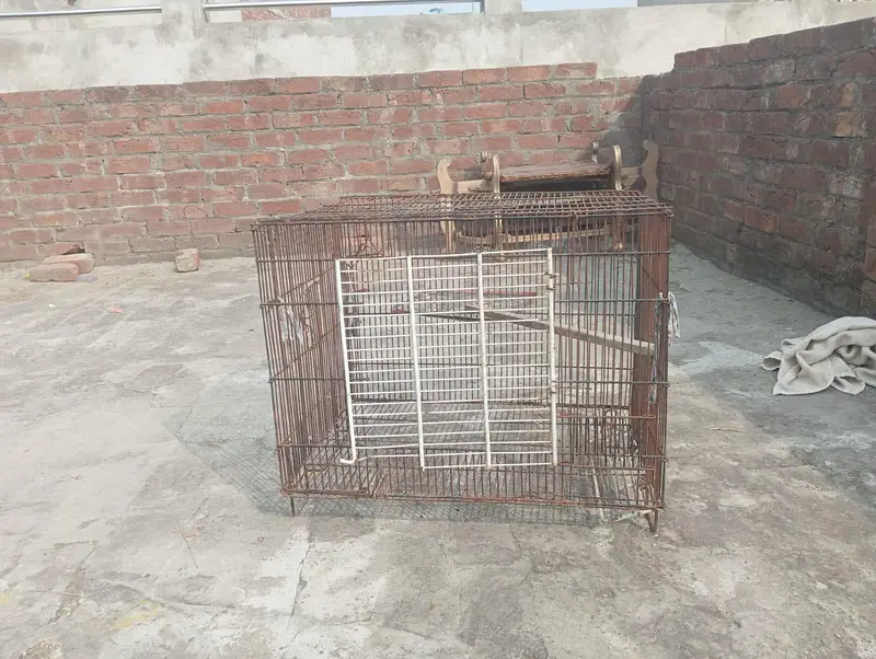 cage for sale good condition more details on WhatsApp — photo 4