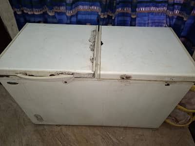 Waves Deep freezer and Haier Fridge