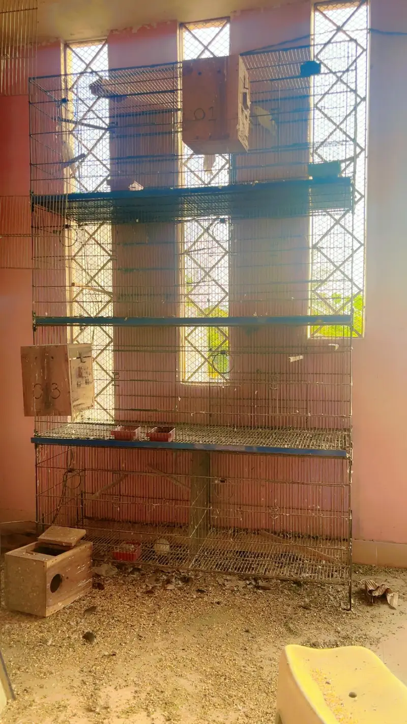 cages for sale. . . — photo 2