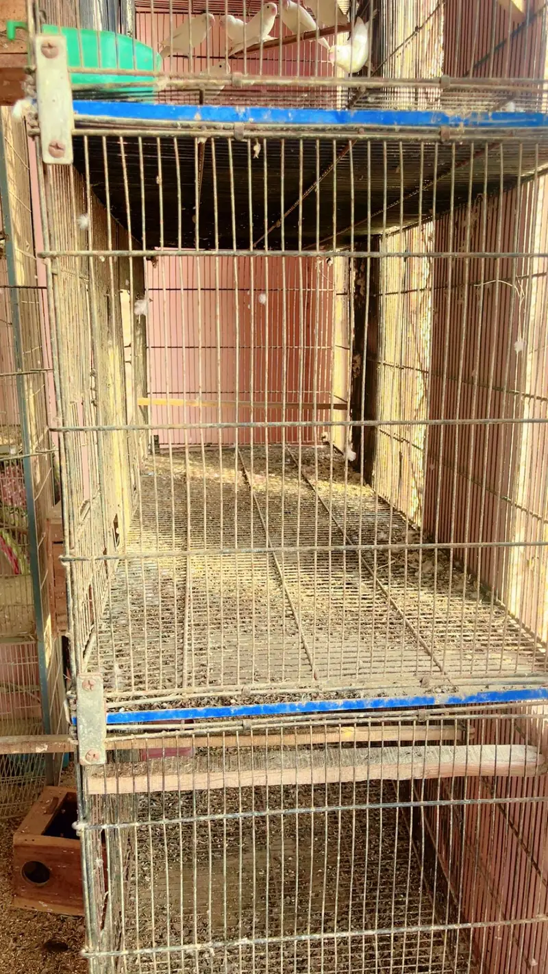 cages for sale. . . — photo 3