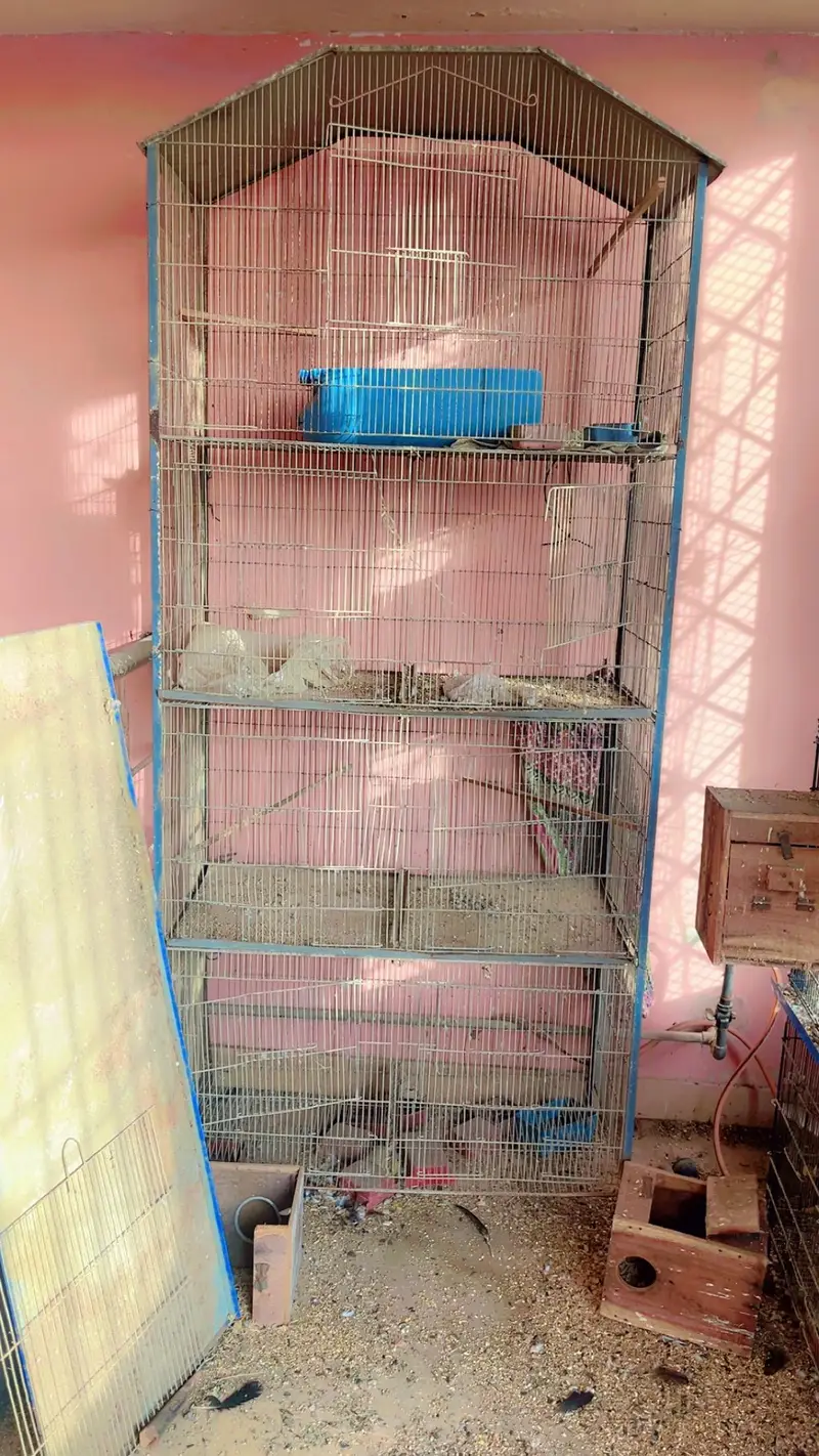 cages for sale. . . — photo 4