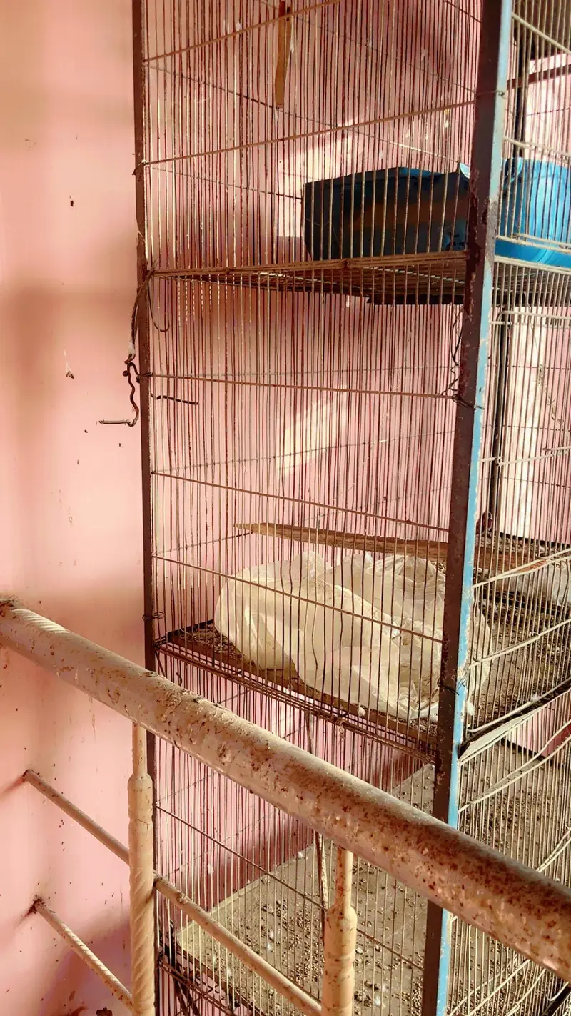 cages for sale. . . — photo 5