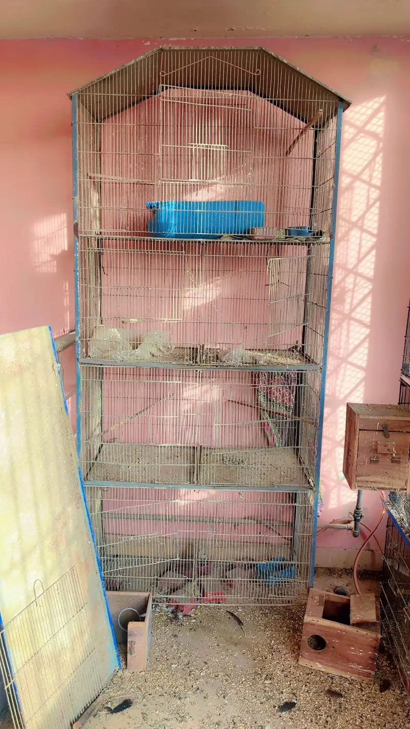 cages for sale. . . — photo 6