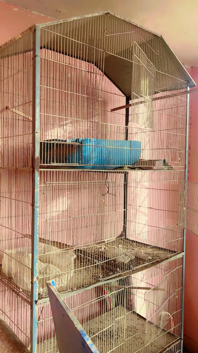 cages for sale. . . — photo 7