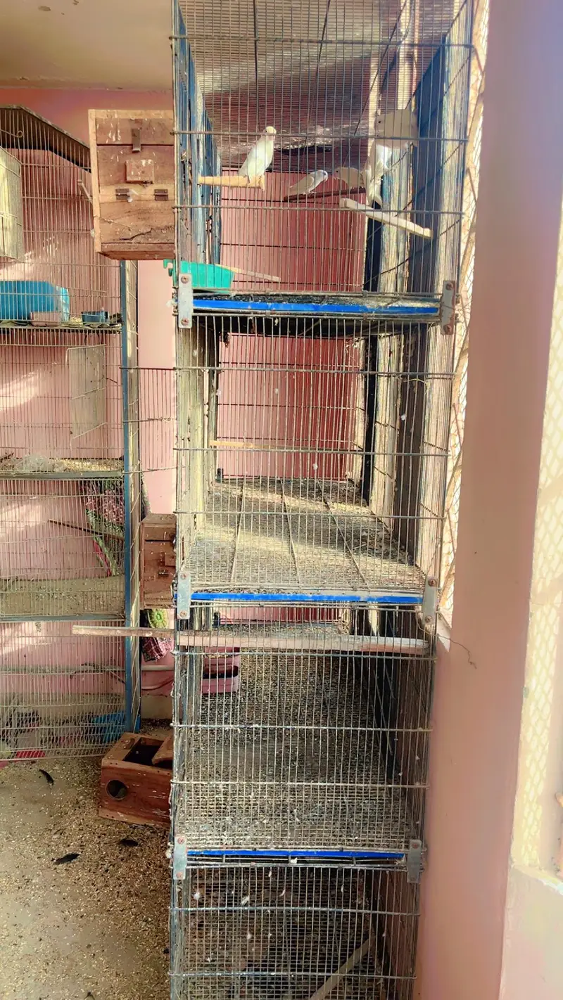 cages for sale. . . — photo 8