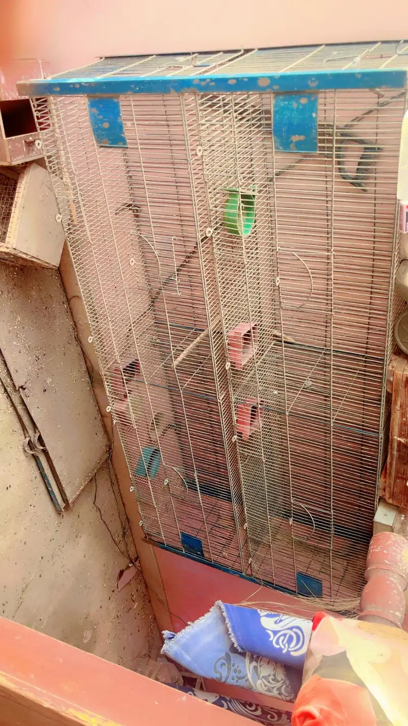 cages for sale. . . — photo 9