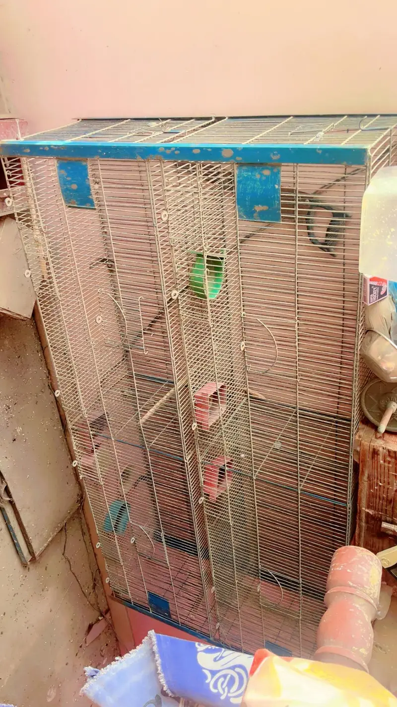 cages for sale. . . — photo 10