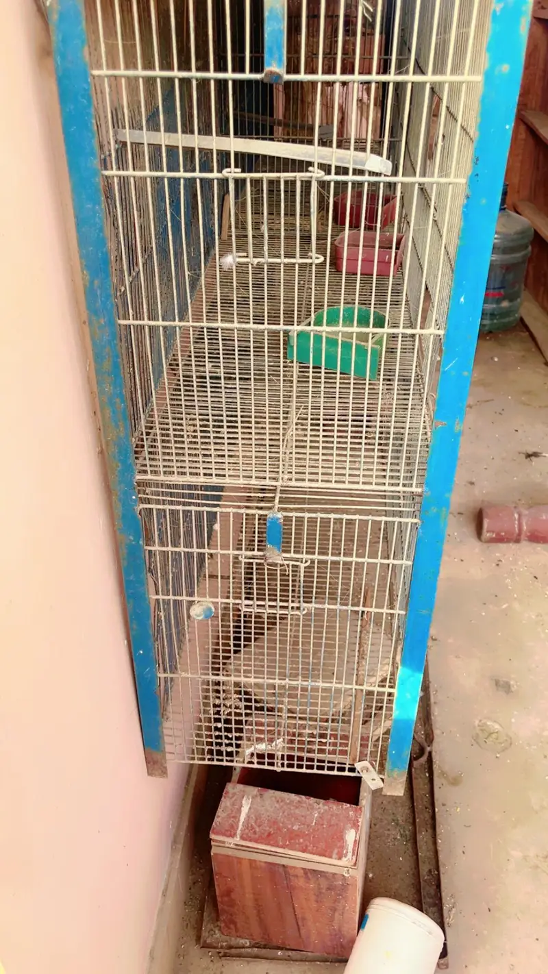cages for sale. . . — photo 11