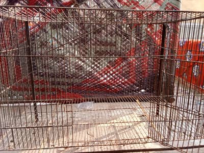 cage for sale