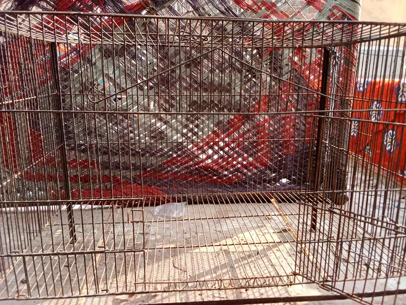 cage for sale