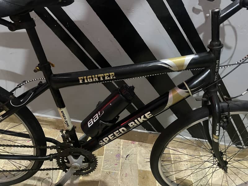 Cycle 2