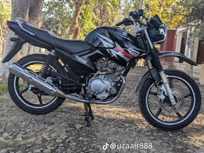 Yamaha YBR G