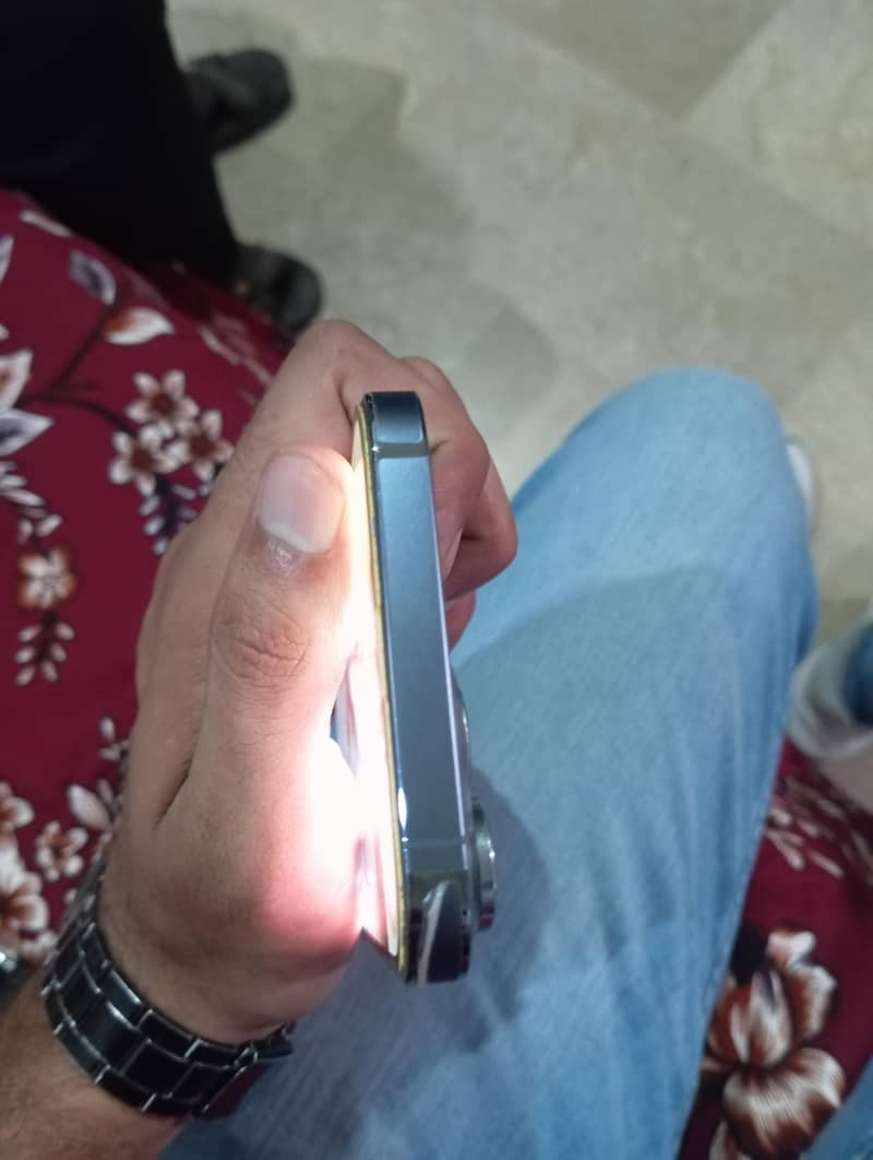 Apple iPhone 13 Pro Max 2