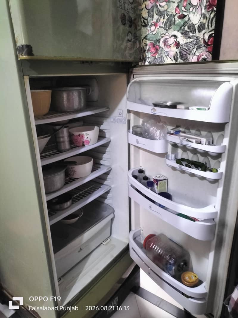 full size fridge 1