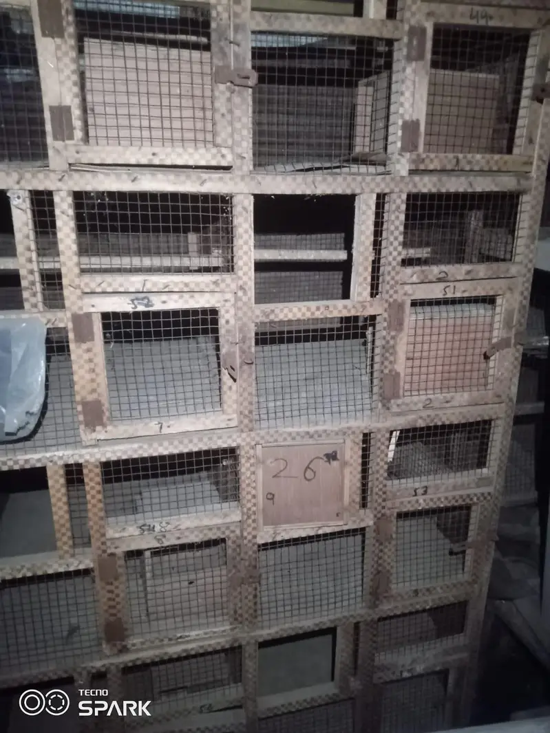 10 Portion Wooden cage 03008531005 — photo 2