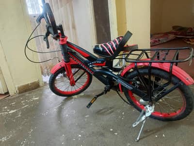 Boys Sport Bicycle
