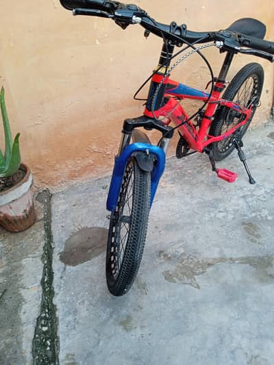 sport cycle