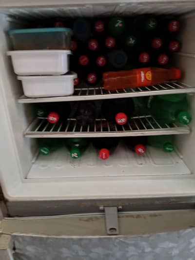 Jawline Fridge