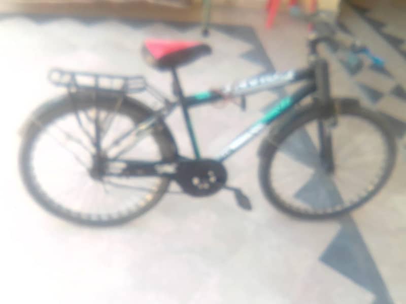 Cycle 1
