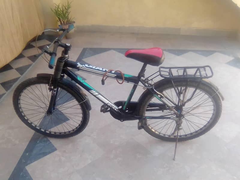 Cycle 4