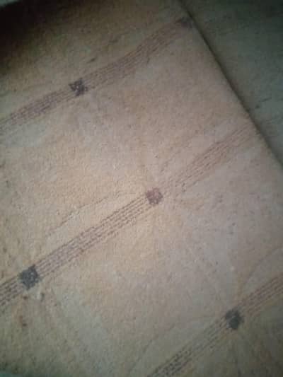 carpet