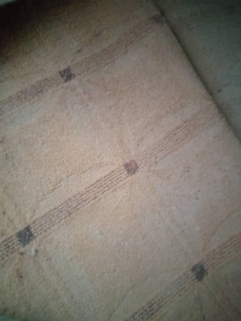 carpet 0