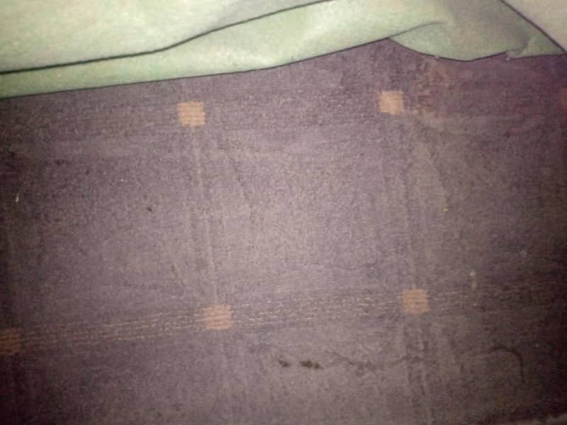 carpet 1