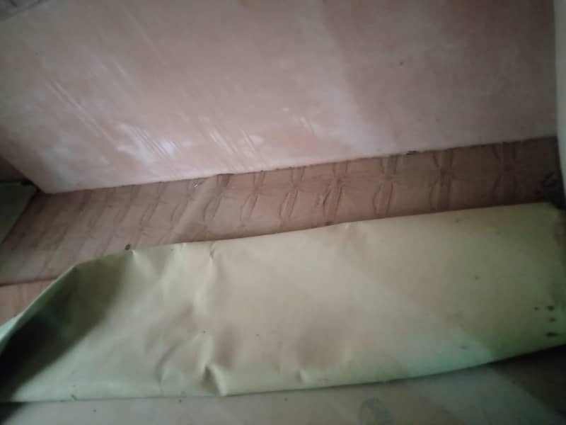 carpet 2