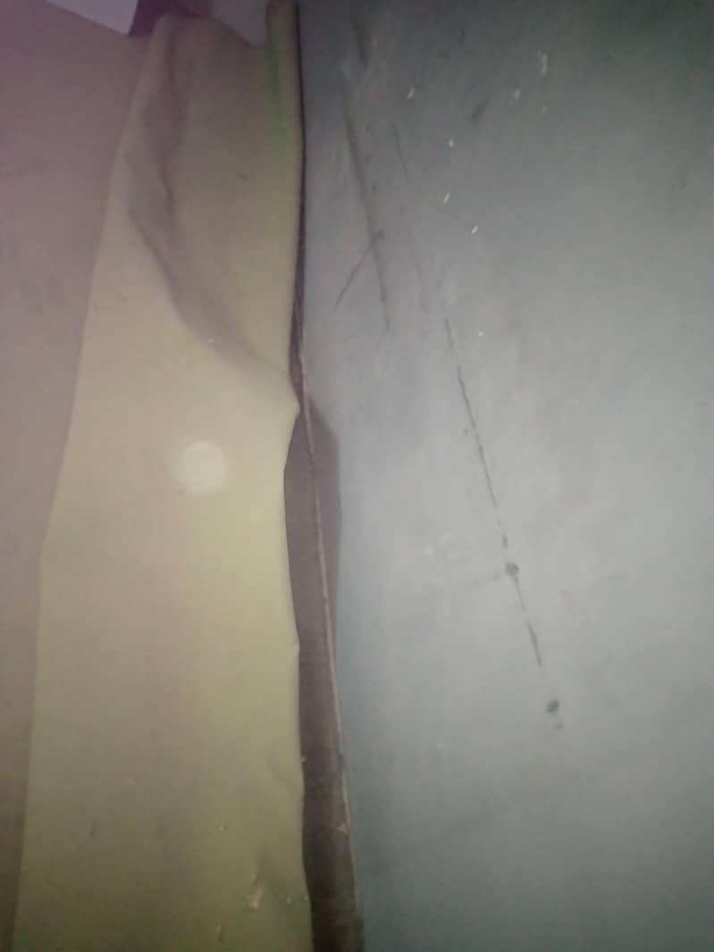 carpet 3