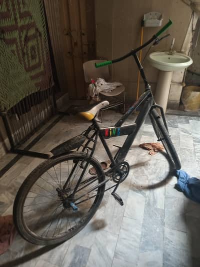 cycle for sale