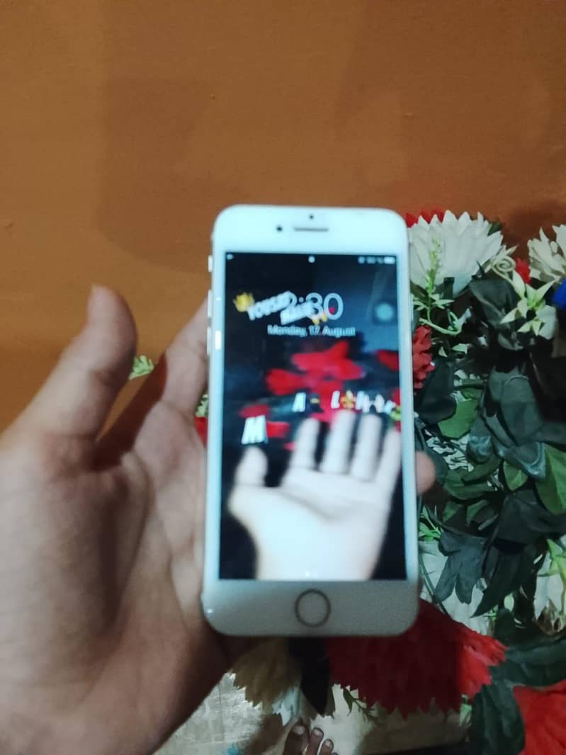 Apple iPhone 7 0