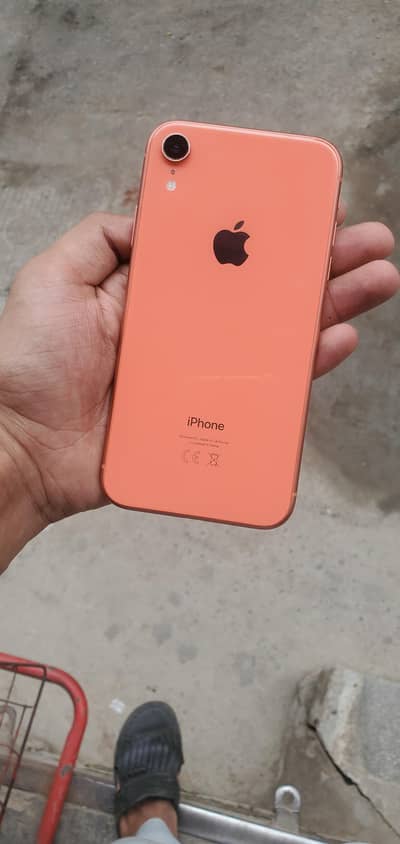 iPhone XR