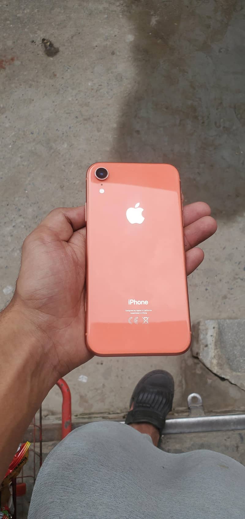 iPhone XR 1