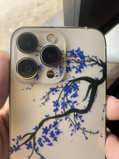 Apple iPhone 13 Pro