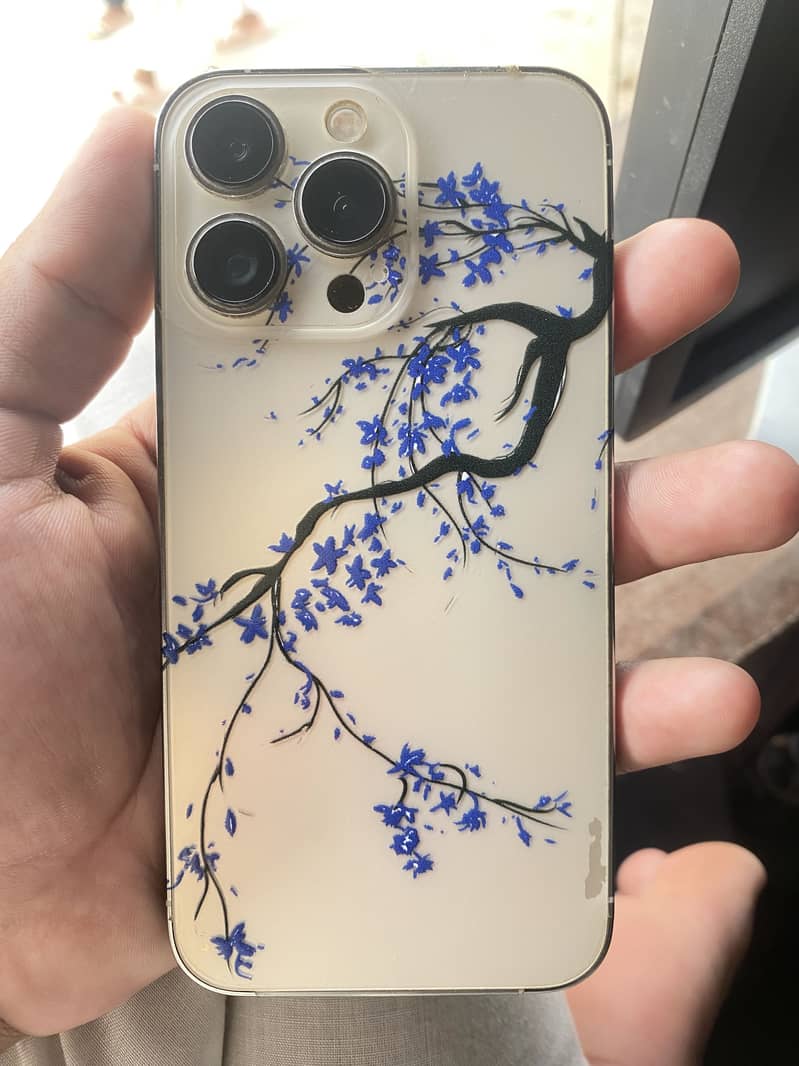 Apple iPhone 13 Pro 5