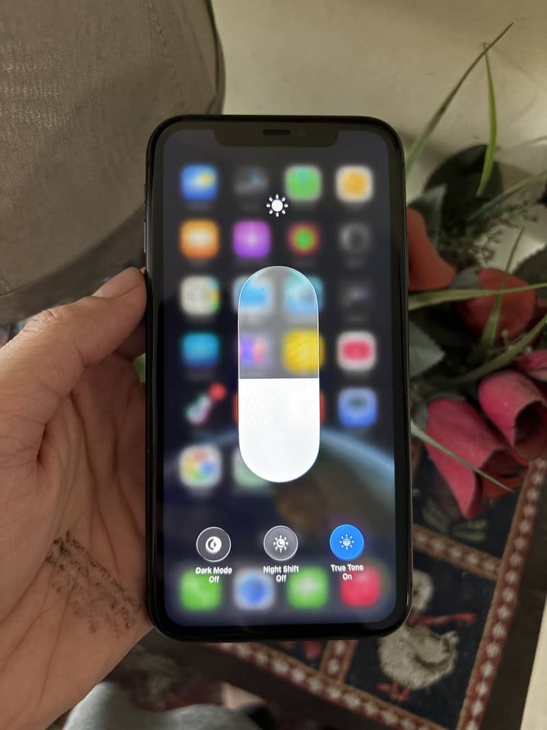 Apple iPhone 11 3