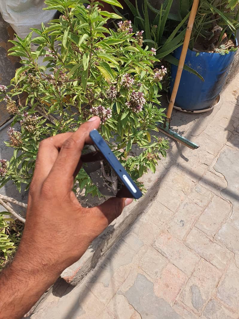 Samsung Mobile Note 10 Plus 2
