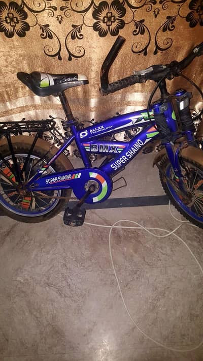 Bicycle boht thori istemal hui he