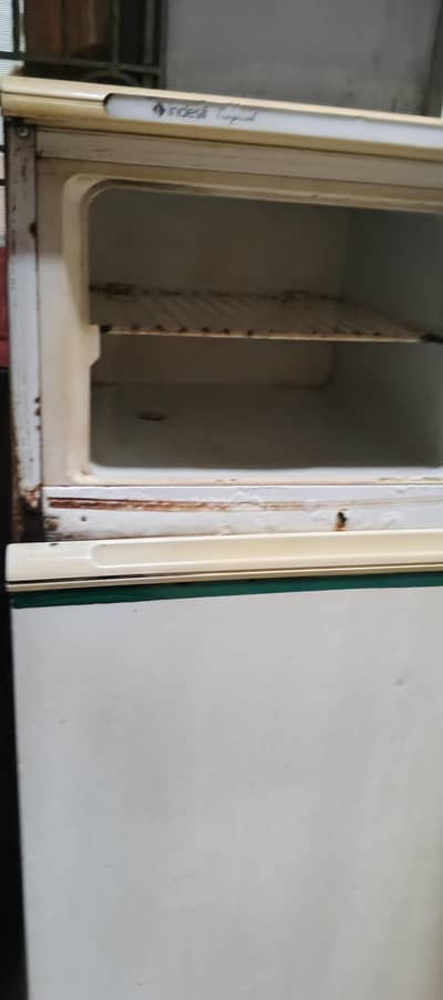 frige