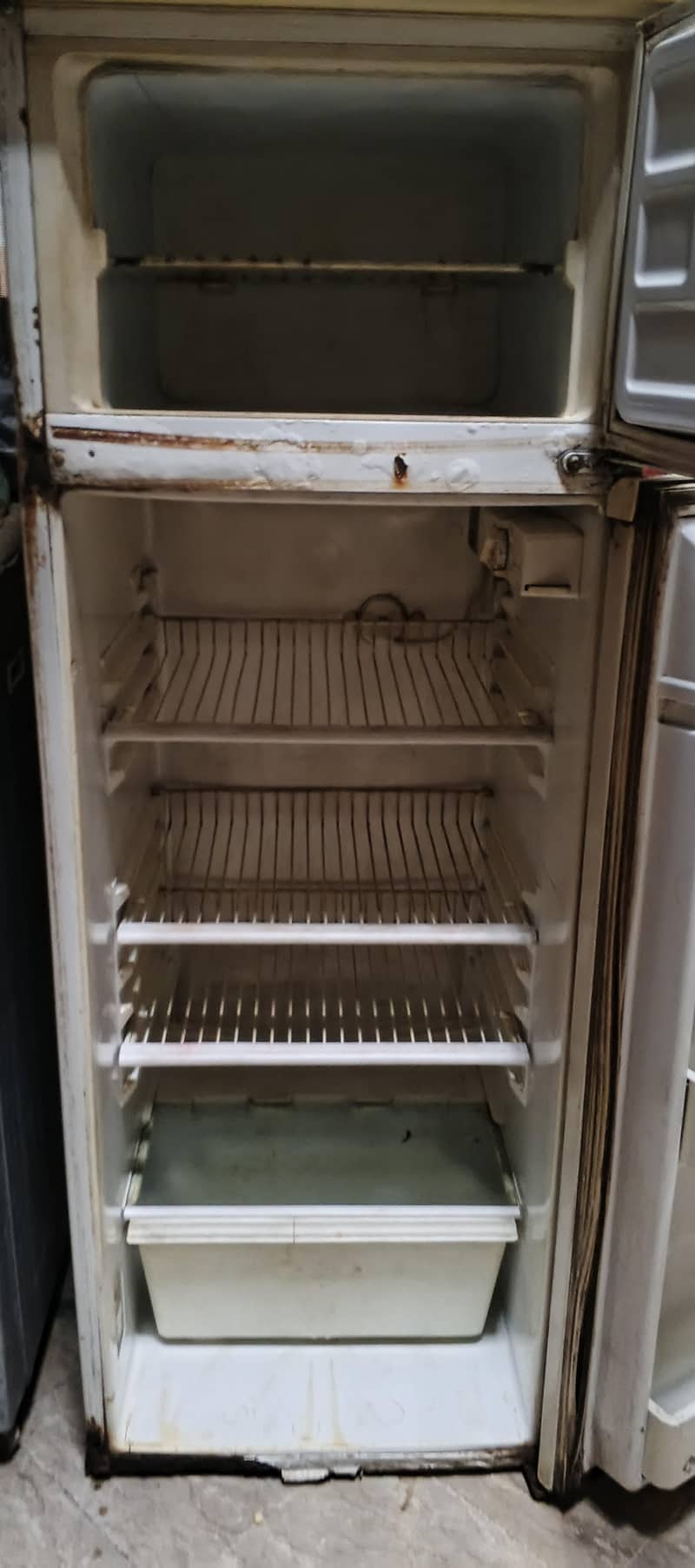 frige 2