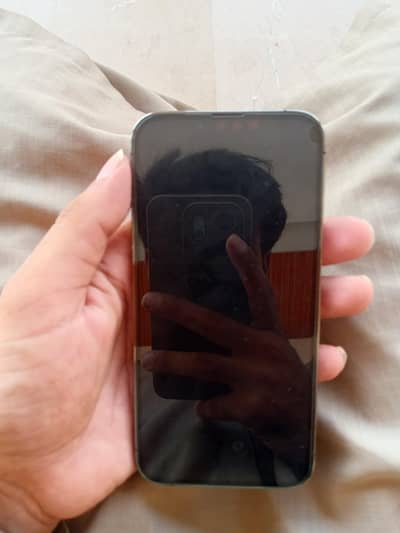 iPhone 13 Pro 128GB Factory Unlocked | 100% Battery | 10/10